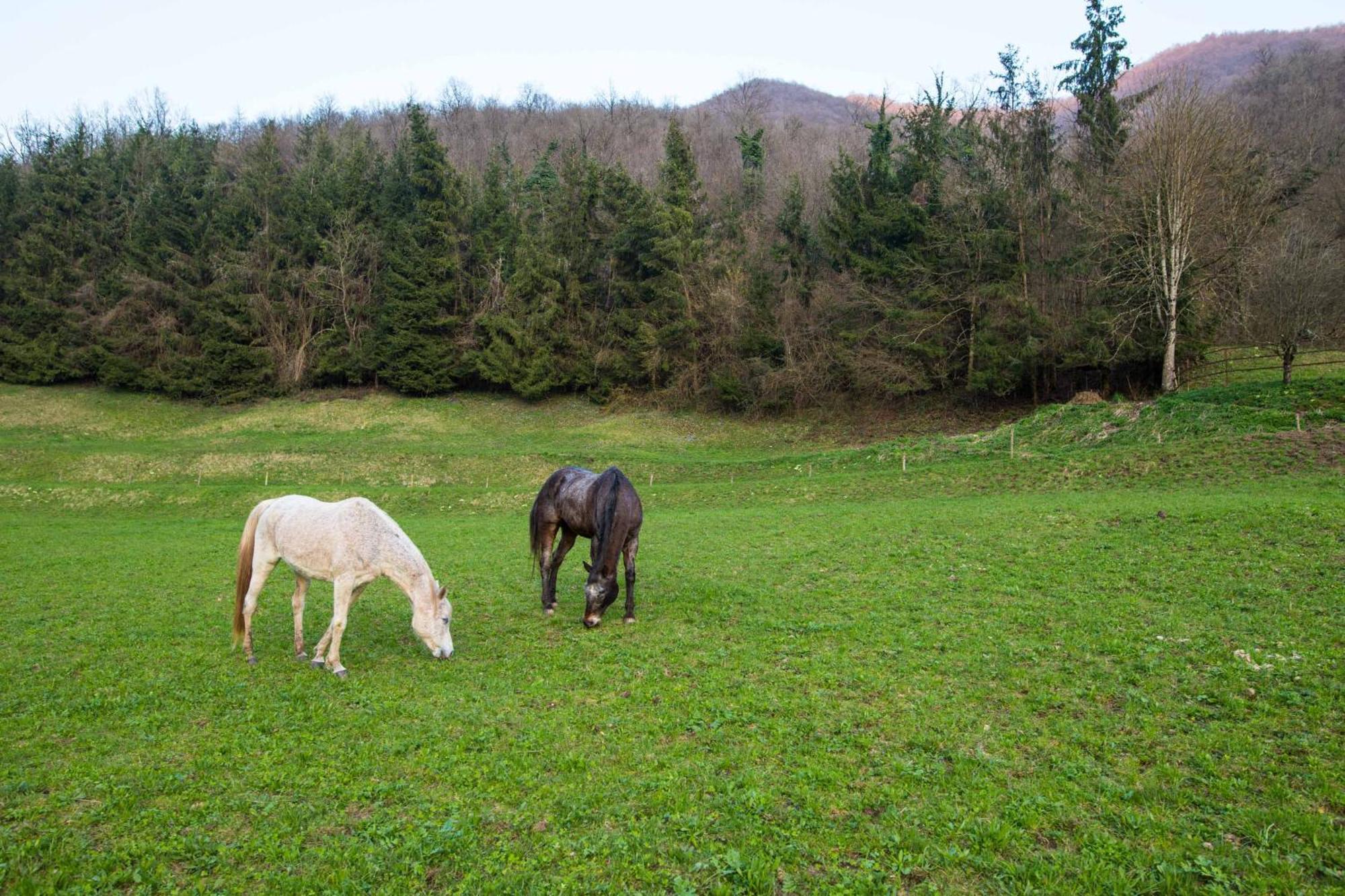 Cascina Canale Sabbio Chiese Eksteriør bilde